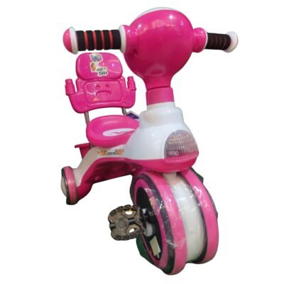 Master Bike Tricycle for Toddlers - Stable 3 Wheel Design